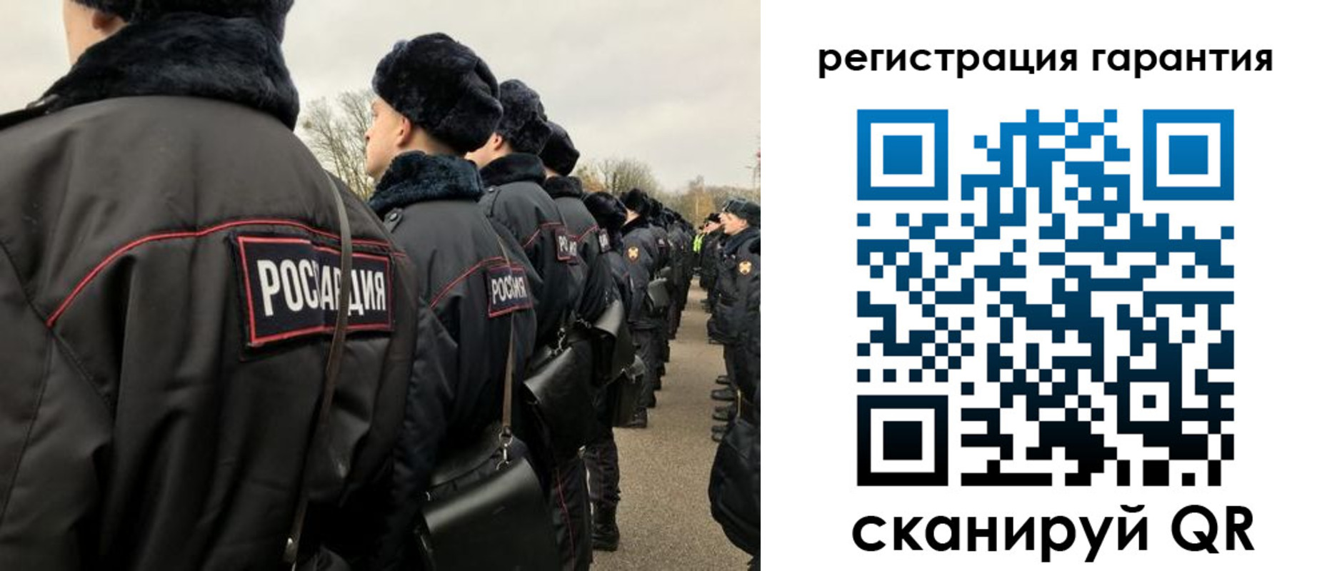 прописка поиск в Невеле